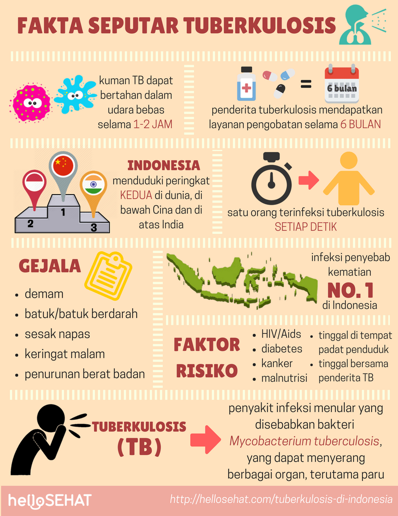 tuberkulóza tuberkulózy v Indonésii