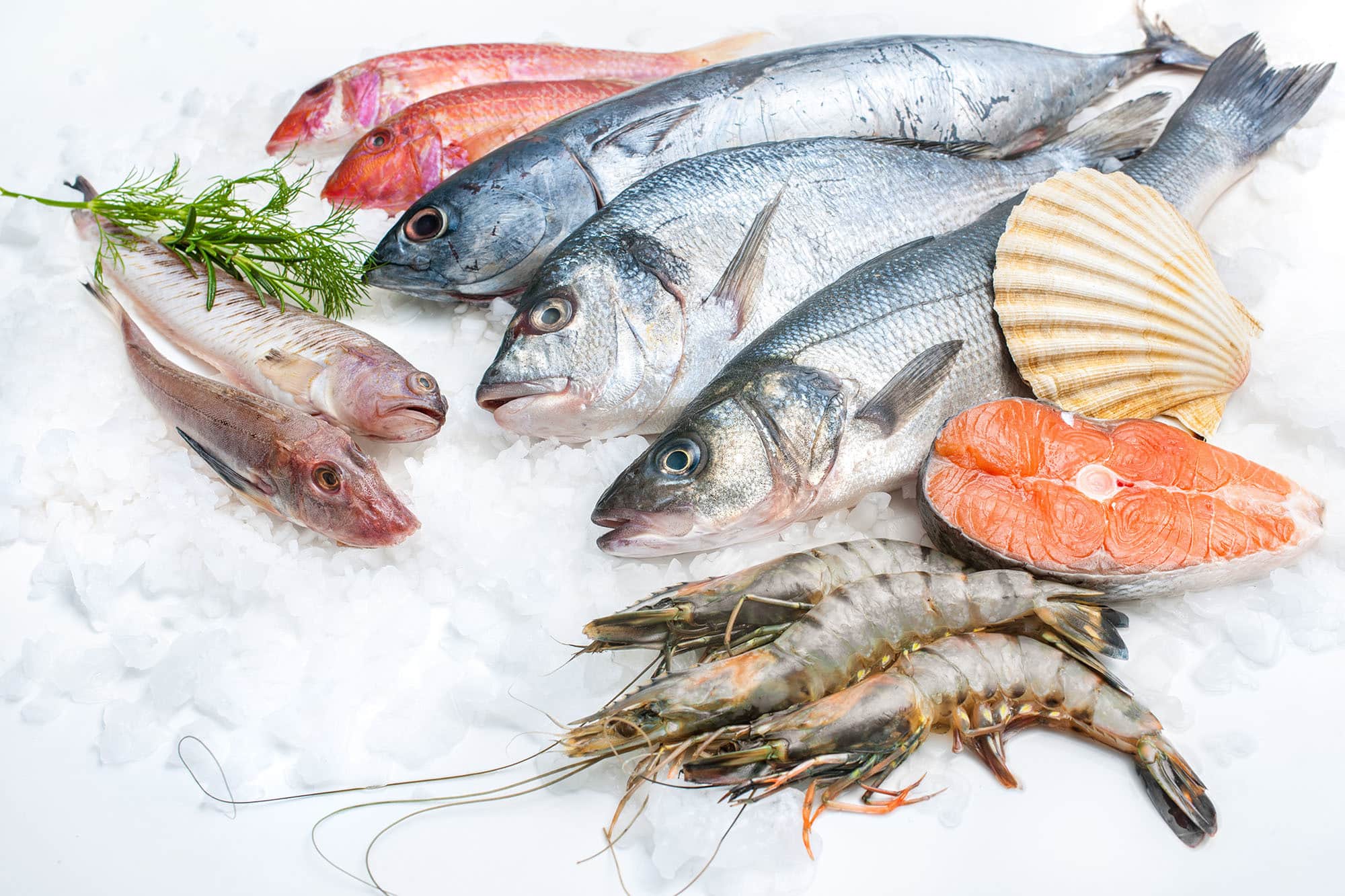 přínosy jídla ryb
