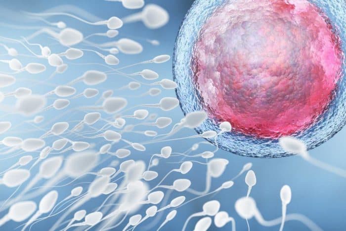 Analýza spermatu je test na fertilitu u mužů