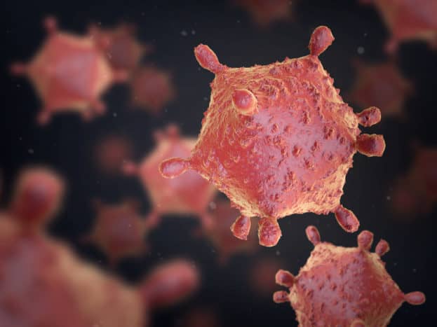 Virus napadá nemoci bakterií