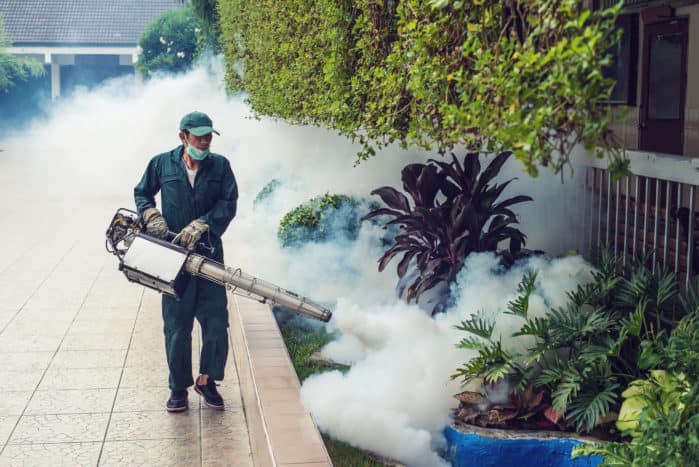 zamlžování plynu v komáre dengue