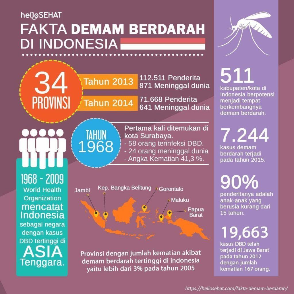 horúčka dengue hellosehat v Indonésii