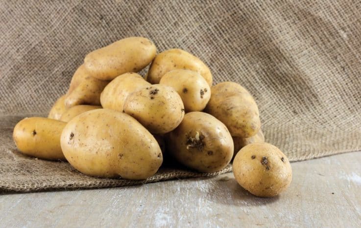 výhody brambor pro krásu