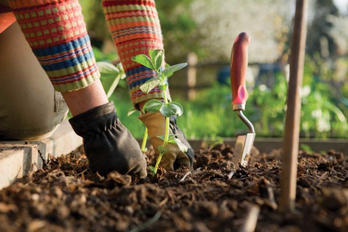 zahradnické výhody pro zdraví