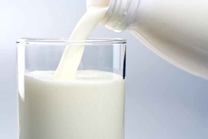 výhody kozího mléka pro zdraví