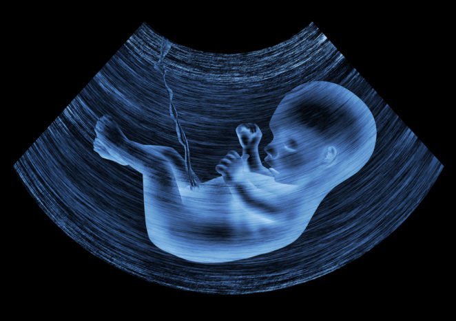 fetální vývoj v děloze