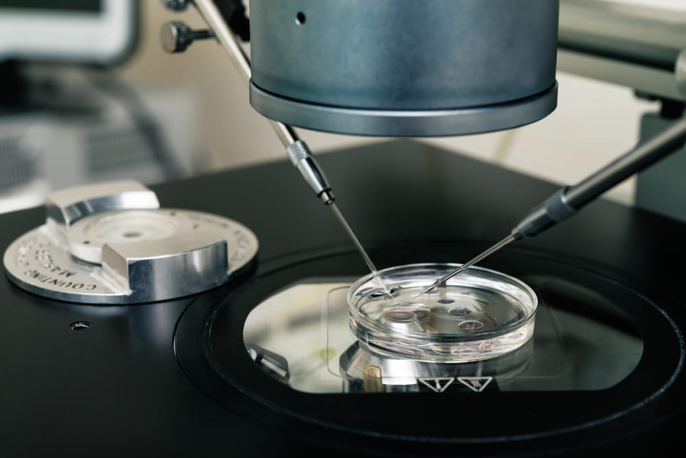 vysazovat jedno embryo IVF